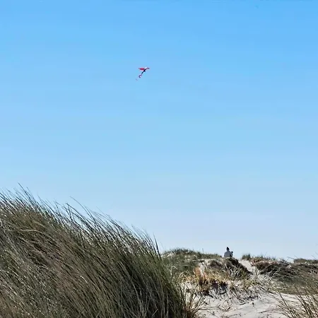 Vakantiehuis 614-hvide-sande-rauhesvej-57 *