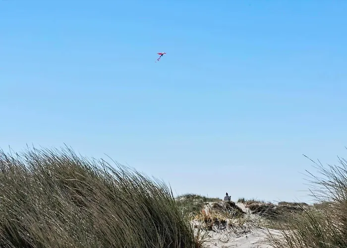 Сasa de vacaciones 614-hvide-sande-rauhesvej-57 *